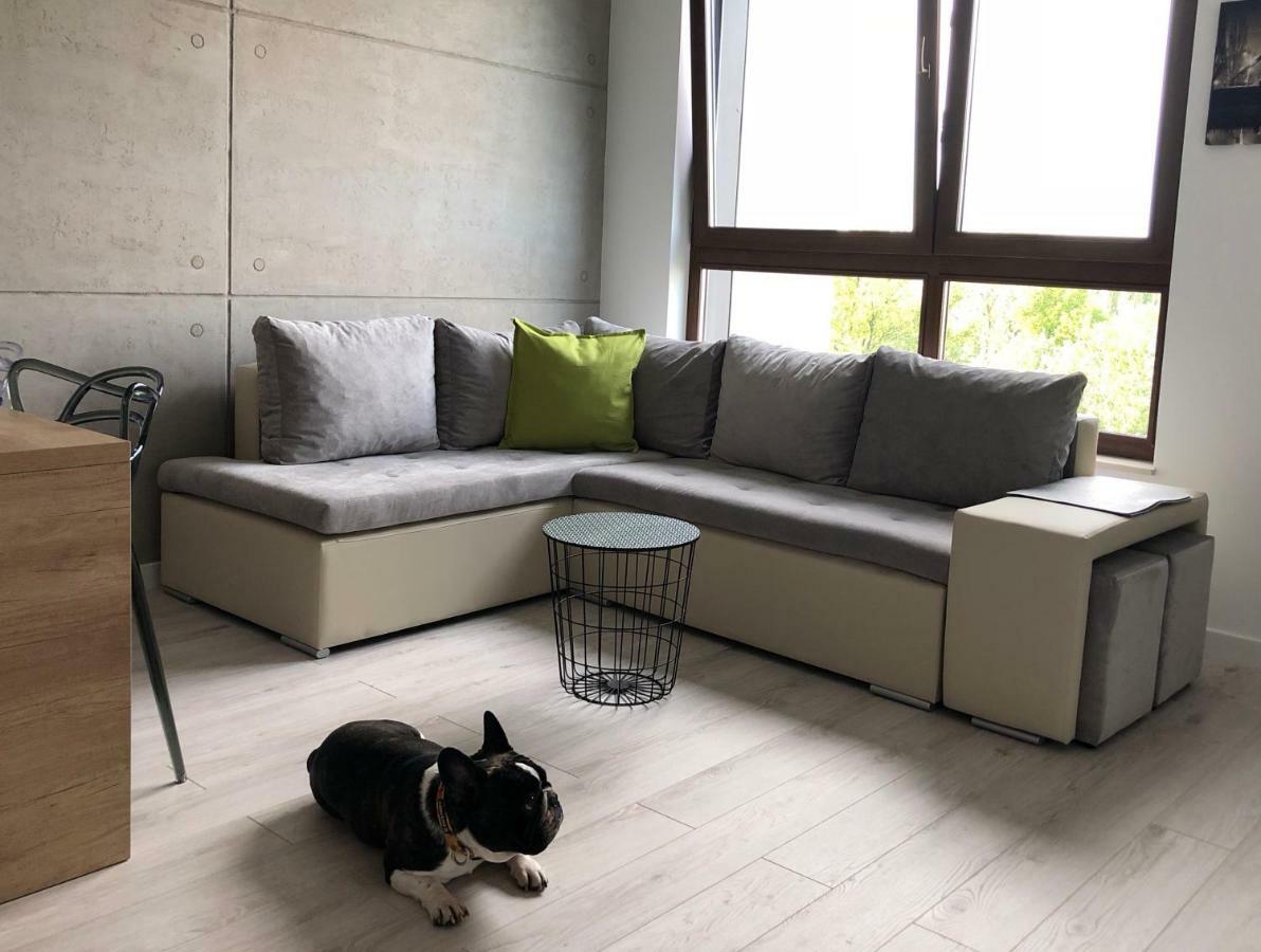 Up'Arts Apartment Wroclaw Ngoại thất bức ảnh
